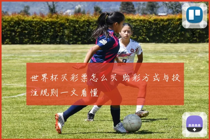 世界杯买彩票怎么买 购彩方式与投注规则一文看懂